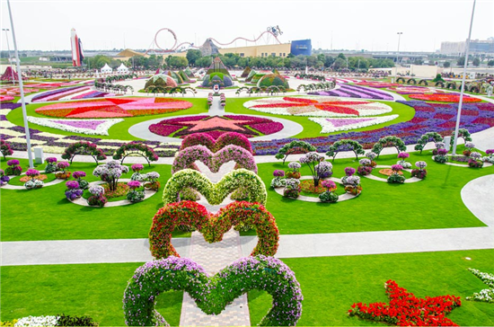 Dubai's Miracle Garden Is A Sight To Behold!